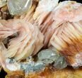 Cerussite Crystals with Orange Bladed Barite - Morocco #51396-1